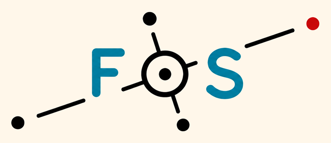 Future of STEM logo